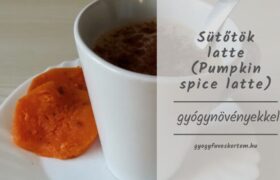 Sütőtökös fűszerlatte gyógyhatású növénykivonatokkal – alternatív módon pumpkin spice latte.